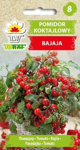 Pomidor Koktajlowy Bajaja 0,3G Nasiona Pomidora Pomidorki Cherry na Arena.pl