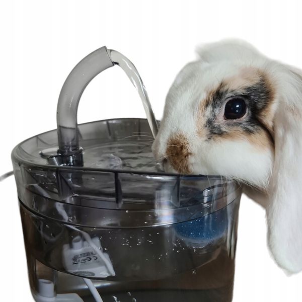 POIDEŁKO DOZOWNIK AUTOMAT FONTANNA DLA KOTA PSA zdjęcie 4