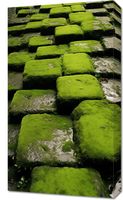 Obraz 40x70cm Zielona Mozaika