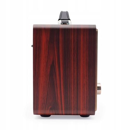 Radio sieciowo-bateryjne AM FM SW Retropolis Seattle Bluetooth USB na Arena.pl