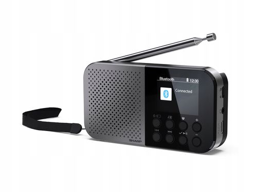 Radio przenośne SHARP Osaka DR-P520 Czarno-szary na Arena.pl