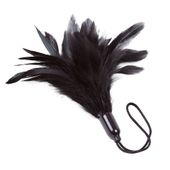 Zmysłowe Czarne Piórko - Prestige Feather Tickler Adrien Lastic