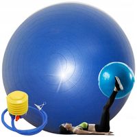 PIŁKA DO ĆWICZEŃ REHABILITACYJNA GIMNASTYCZNA TRENING FITNESS + POMPKA 65CM