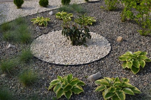 OBRZEŻE OGRODOWE TRAWNIKOWE 7,8cm PALISADA BORDER 78mm 20m + 100 KOTEW na Arena.pl