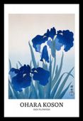 Plakat 20x30cm Design Iris Flowers, Koson Vintage do Salonu