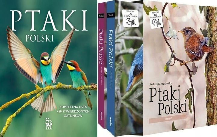 Ptaki Polski zdjęcie 3