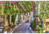 product-compare-62137851