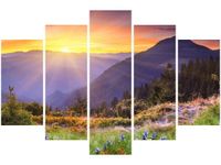 product-compare-58696534