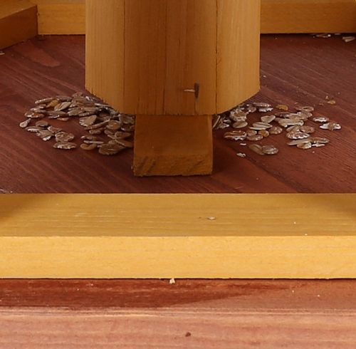 Karmniki dla ptaków do ogrodu tik antracyt KW50 na Arena.pl