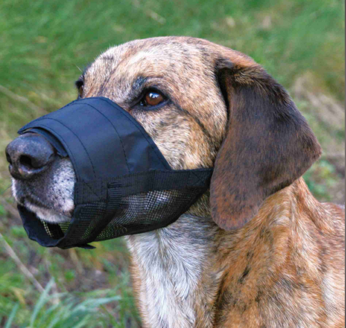 TRIXIE Kaganiec dla psa z materiału z siatką regulowany lekki L-XL na Arena.pl