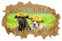 Naklejka samoprzylepna dekoracyjna efekt 3D psy