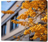 Obraz 100x90cm Złote Jagody