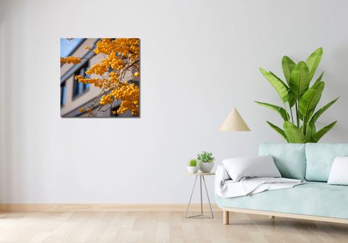 Obraz 70x70cm Złote Jagody na Arena.pl