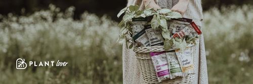 Płyn do robotów mopujących EKO| Plant lover|Wyczyść i otul zapachem! 500 ml na Arena.pl