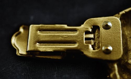 Cairn Terrier - klips - 1028 na Arena.pl