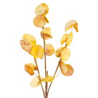 Sztuczny kwiat dekoracyjny eukaliptus FLORE pomarańczowy x6