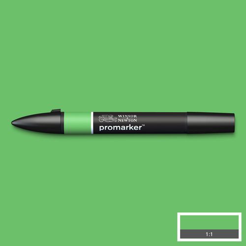 PROMARKER W&N GRASS G457 253 na Arena.pl