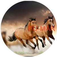 Opłatek na tort KONIE Koń Mustang Konik Kuc Urodziny Tekst Gratis