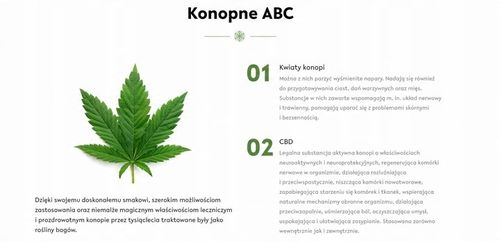 CBD 6% OLEJEK KONOPNY DLA ZWIERZĄT FULL SPECTRUM na Arena.pl