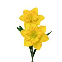 Żonkil żółto zielony pojedynczy x2 łodyga gumowana