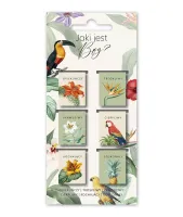 Zakładki Magnetyczne. Jaki Jest Bóg? (6 Sztuk)