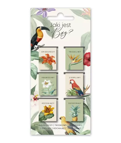 Zakładki Magnetyczne. Jaki Jest Bóg? (6 Sztuk) na Arena.pl