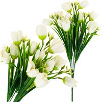 KROKUS BUKIET KROKUSÓW KROKUSY W TRAWIE BIAŁE