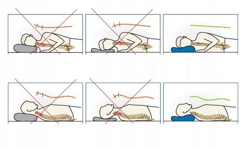 Qmed Poduszka ORTOPEDYCZNA do spania PROFILOWANA MEMORY FOAM z na Arena.pl