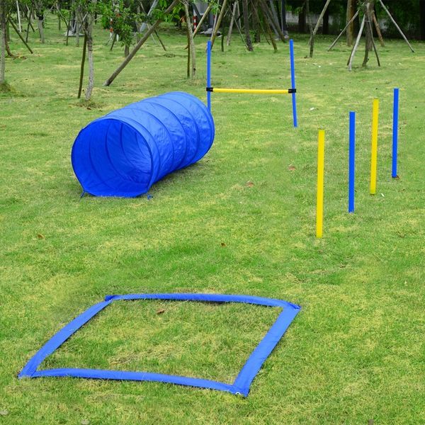 PawHut ZESTAW AGILITY DLA PSA/SLALOM TUNEL PŁOTKI zdjęcie 3