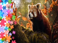 Puzzle tradycyjne Zwierzęta - Panda Mała