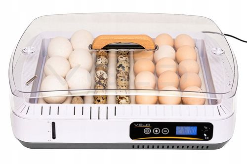 INKUBATOR AUTOMATYCZNY VELO na 35 JAJ do KURZYCH INDYCZYCH GĘSICH KACZYCH na Arena.pl