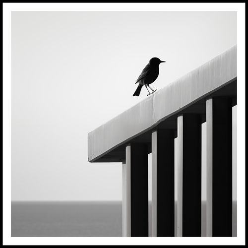 Plakat 80x80cm Samotna Odchłań na Arena.pl