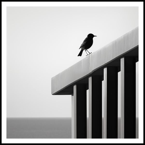 Plakat 80x80cm Samotna Odchłań zdjęcie 3