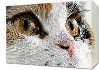 product-compare-59510243