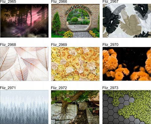 FOTOTAPETA mur ściana w liściach rośliny natura na Arena.pl