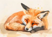 product-compare-59395306