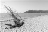 Fototapeta Czarno-biała Plaża MORZE do Salonu 400x280