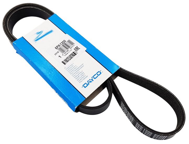 PASEK WIELOROWKOWY zdjęcie 2