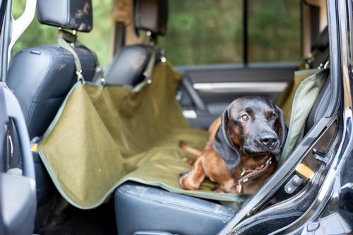 Pokrowiec dla psa na tylne siedzenie samochodu na Arena.pl