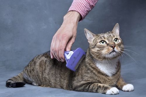 FURminator dla kotów krótkowłosych średnich dużych sierść krótka M/L Large na Arena.pl