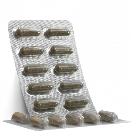 Colway Colvita Liofilizowany KOLAGEN Rybi, Algi, Wit.E 60 kaps na Arena.pl