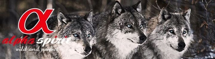 ALPHA SPIRIT KACZKA 1 KG zdjęcie 4