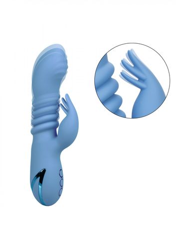 santa cruz coaster blue na Arena.pl