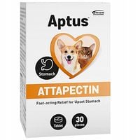 APTUS - ATTAPECTIN 30 TABLETEK BIEGUNKA KOT PIES