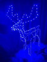 Ozdoba Świąteczne RENIFER ŚWIECĄCY LEDOWY LED WĄŻ DUŻY 11m niebieski
