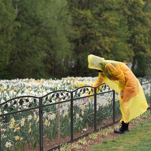 5 Paneli Wytrzymałe Metalowe Płotek Ogrodowy 110cm na Arena.pl