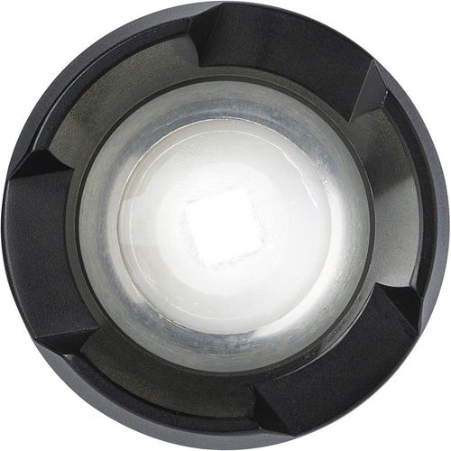 Latarka COB na Arena.pl