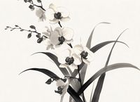 Plakat 55x40cm Orchidea