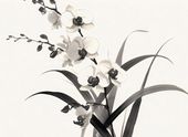 Plakat 55x40cm Orchidea