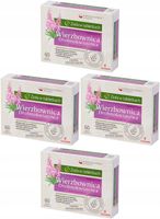 Wierzbownica Drobnokwiatowa Na Prostatę 60tabl